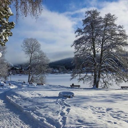 Waldblick Titisee Exteriör bild