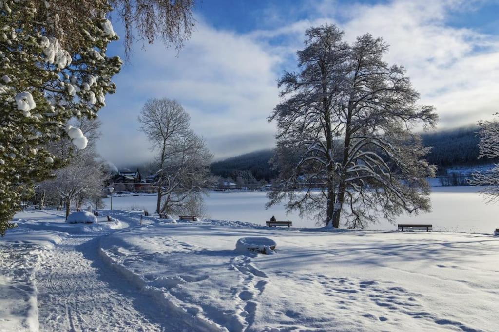 Waldblick Titisee Exteriör bild