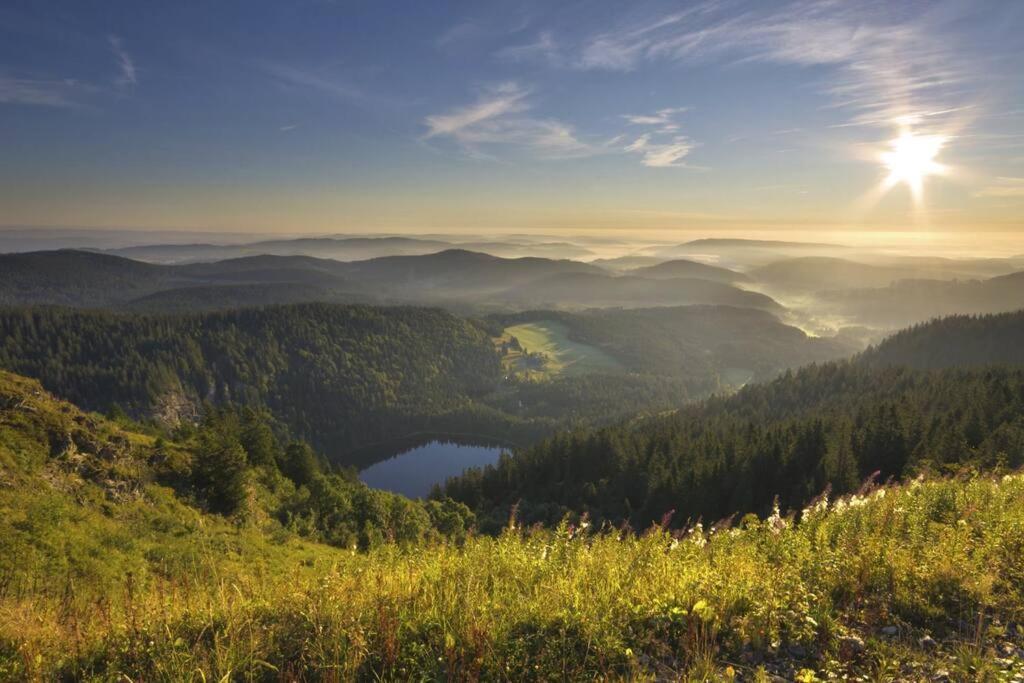 Waldblick Titisee Exteriör bild