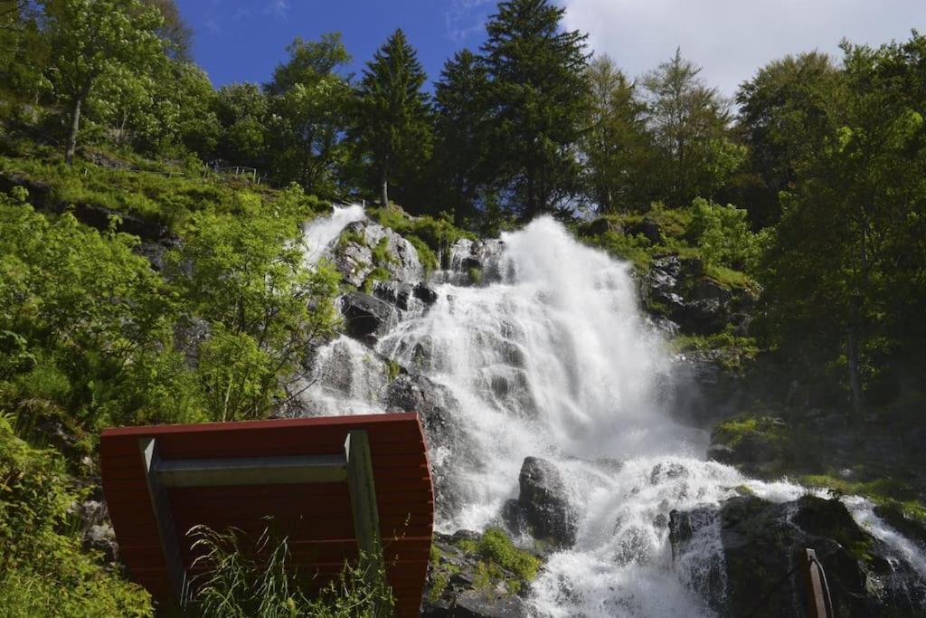 Waldblick Titisee Exteriör bild